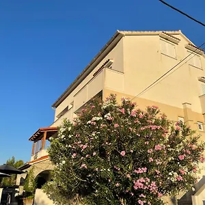 Apartman Casa Fumica, Palit